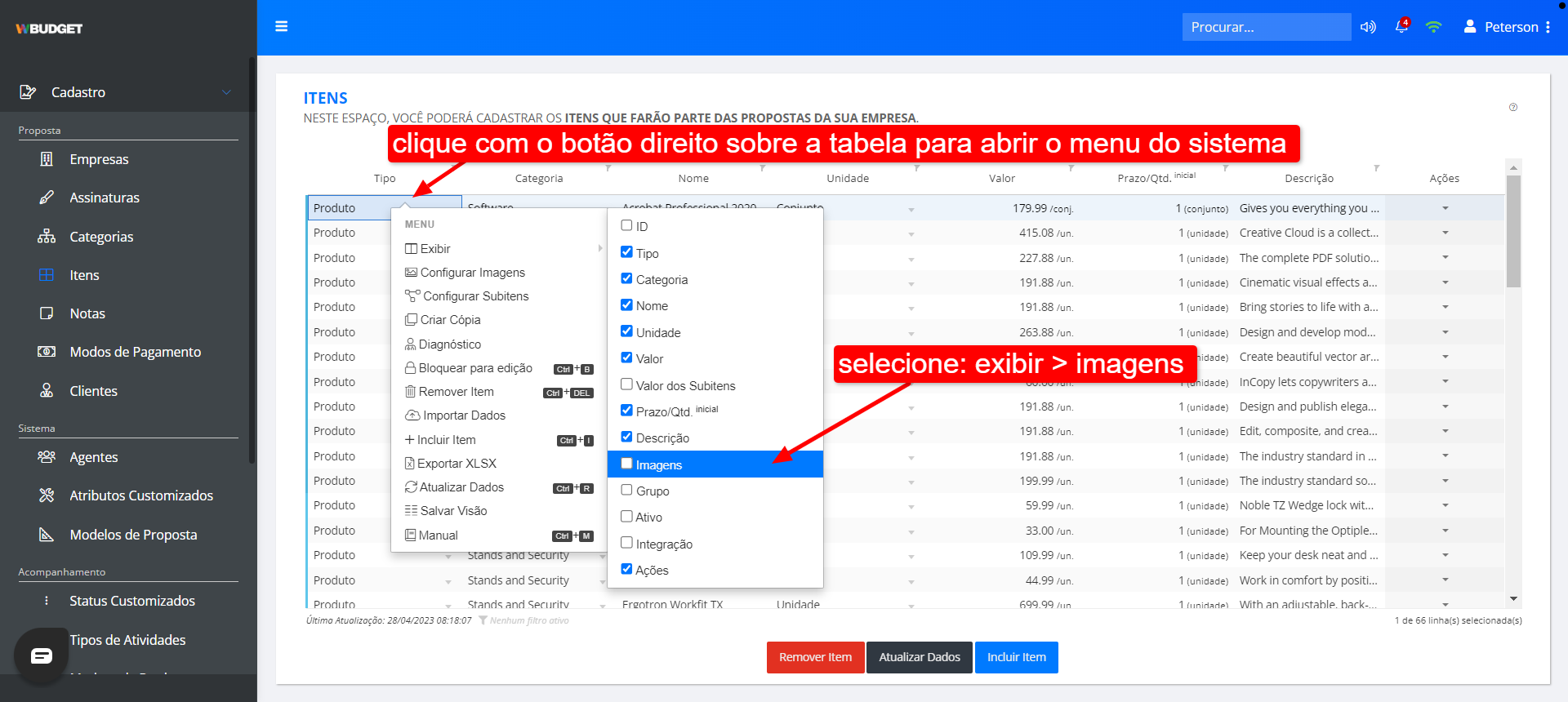 cadastros_itens_habilitar_coluna_imagens.png
